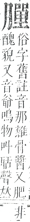 正字通 v11．肉部．未下．頁36.0