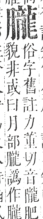 正字通 v11．肉部．未下．頁40.0