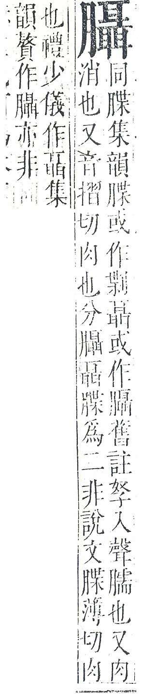 正字通 v11．肉部．未下．頁40.0