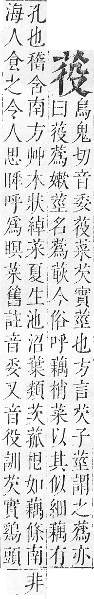 正字通 v12．艸部．申上．頁41.0