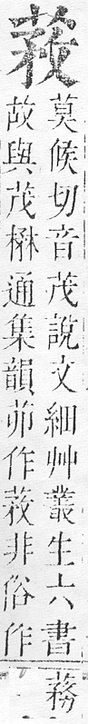 正字通 v12．艸部．申上．頁66.0