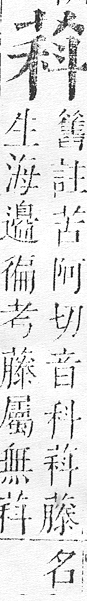 正字通 v12．艸部．申上．頁66.0