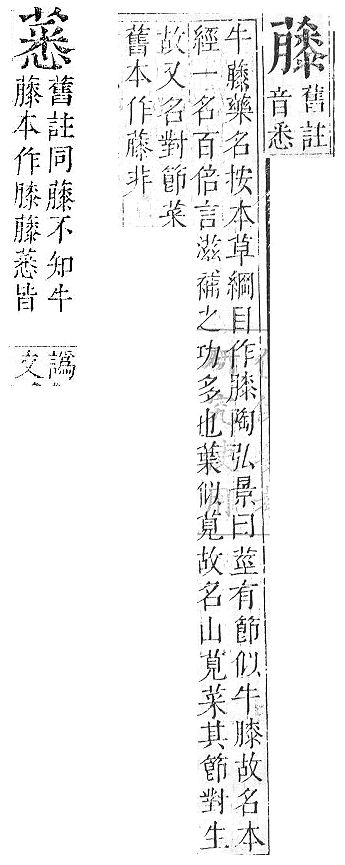 正字通 v12．艸部．申上．頁98