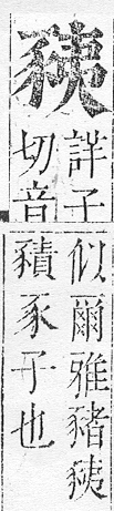 正字通 v14．豕部．酉中．頁13.0