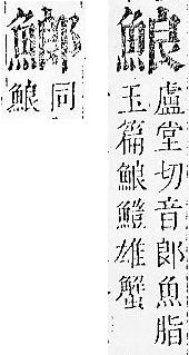 正字通 v17．魚部．亥中．頁24