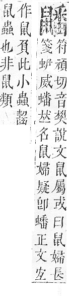 正字通 v17．鼠部．亥下．頁50.0