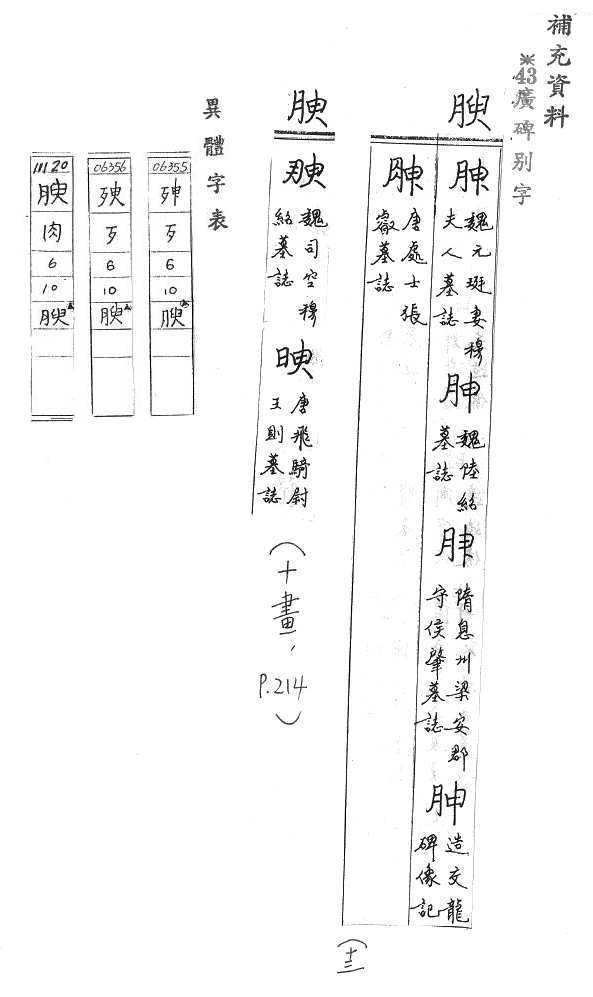 補充資料(一) 